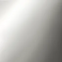 MIRROR STEEL