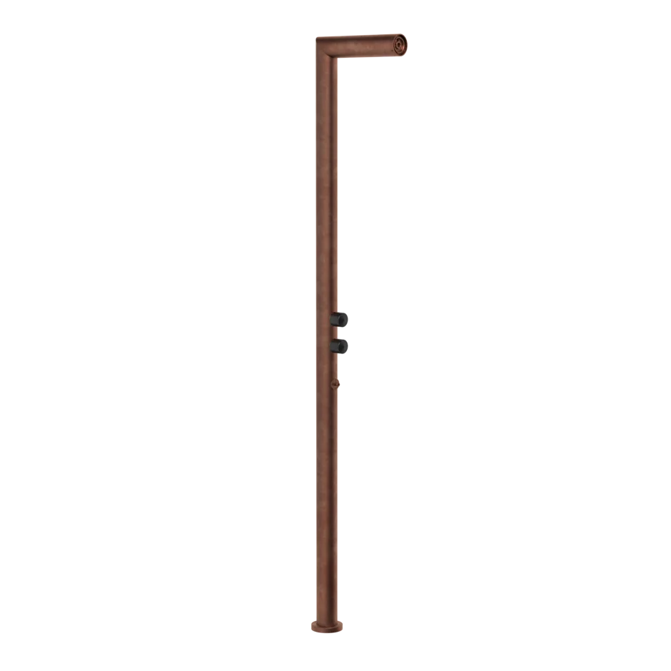 Shower column